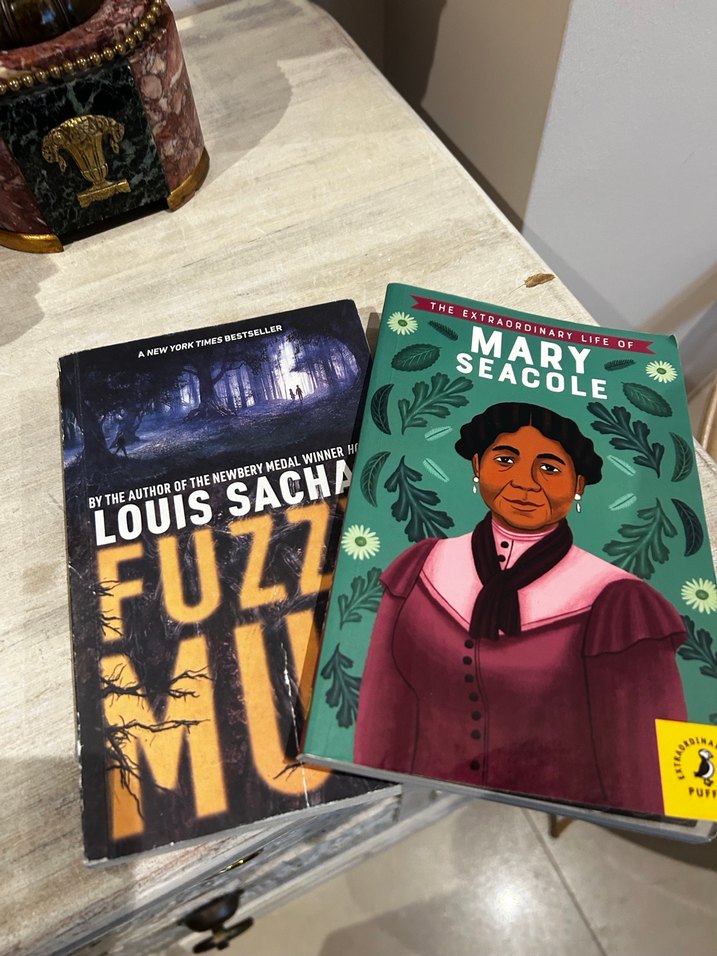 Mary Seacole ve Fuzzy Mud Kitapları - Görsel 2