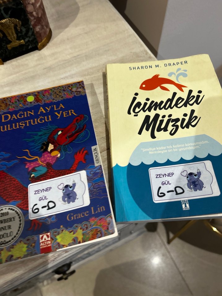 Dağın Ay'la Buluştuğu Yer ve İçimdeki Müzik Kitapları - Görsel 3