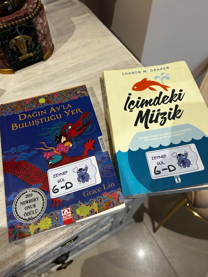 Dağın Ay'la Buluştuğu Yer ve İçimdeki Müzik Kitapları - Görsel 2