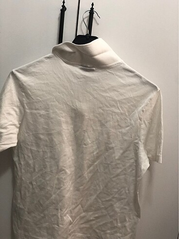 m Beden Paul shark polo yaka