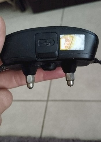 Siyah Köpek Eğitim Tasması