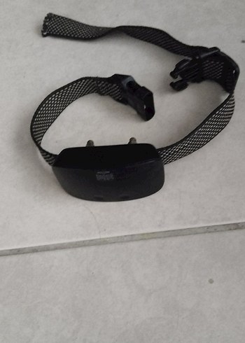 Siyah Köpek Eğitim Tasması