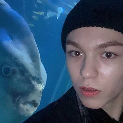 vernon pc