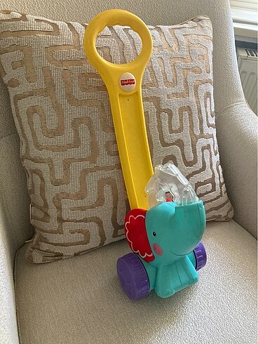 Beden Renk Fisher Price