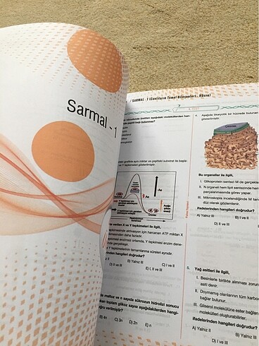 Biyoloji - Görsel 5