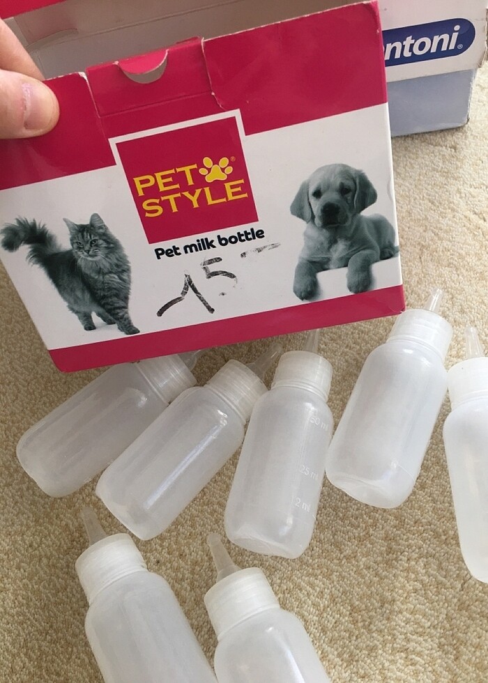 Kedi  köpek biberon emziği - Görsel 2