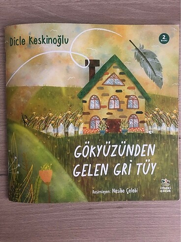 Gökyüzünden gelen gri tüy hikaye kitabı
