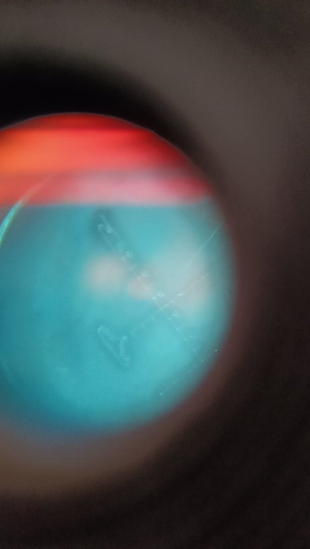 Japon Yamasen 50×60 av dürbünü - Görsel 5