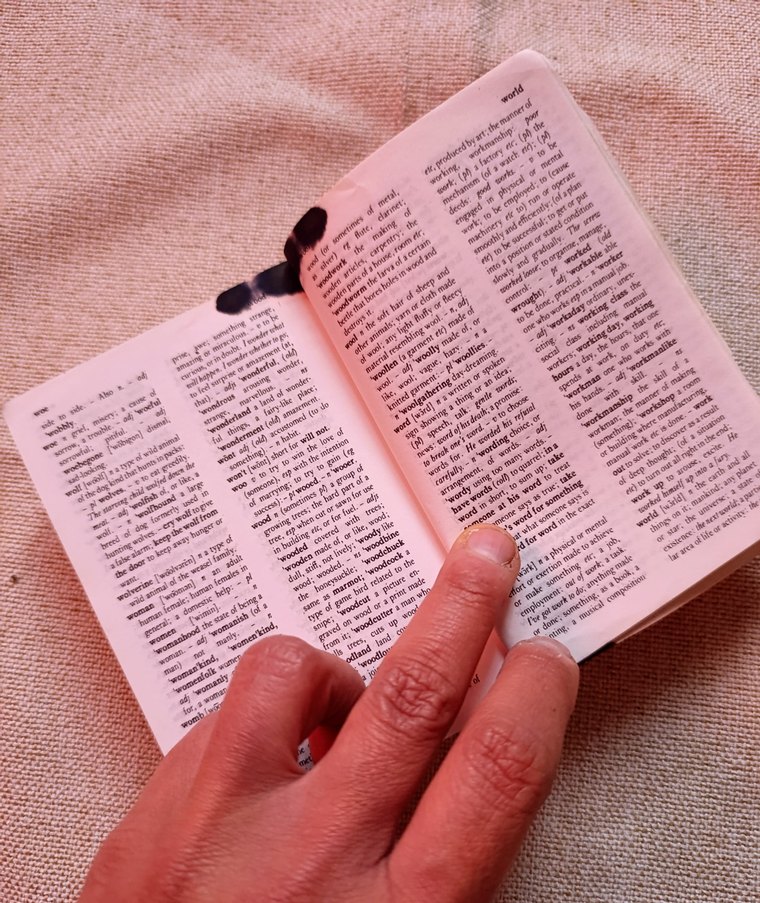 Chambers Mini Sözlük 38.000 Tanım - Görsel 4