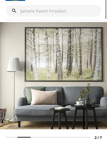 İkea tablo - Görsel 6