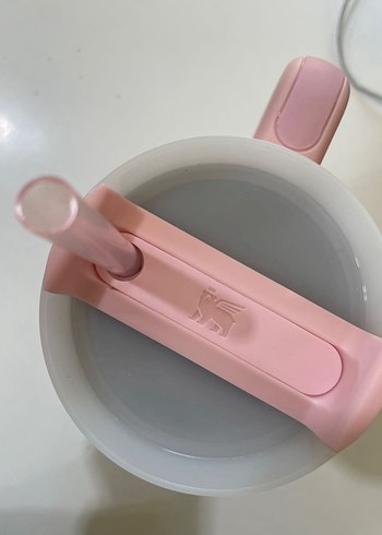 Stanley labubu limited edition - Görsel 5