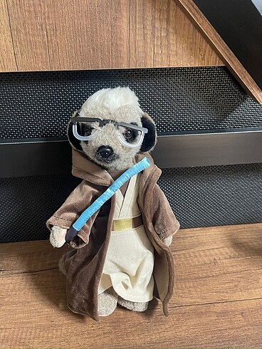 Peluş Oyuncak