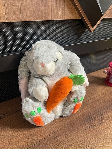 Peluş Oyuncak