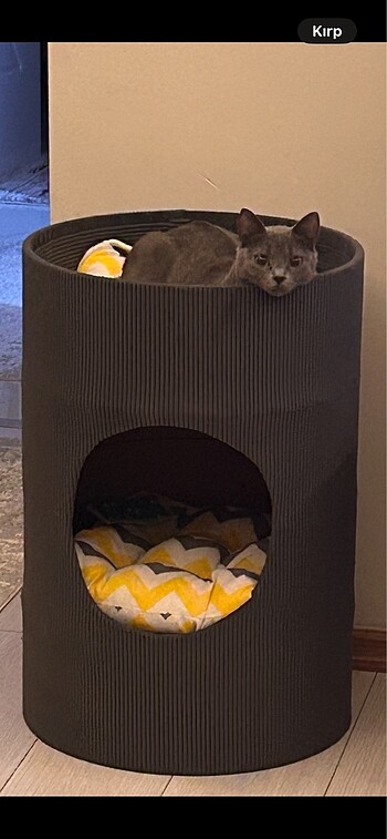 Kedi yatağı ( el yapımı )