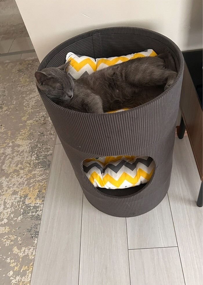 Kedi yatağı ( el yapımı ) - Görsel 3