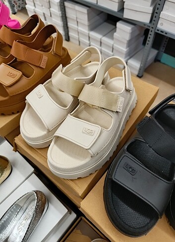 Ugg Ugg terlik
