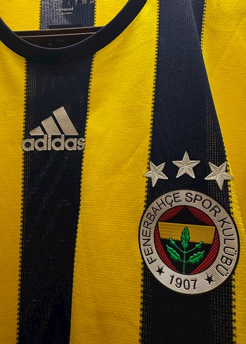 Fenerbahçe 2016-2017 110. Yıl Çubuklu Forması - Görsel 2