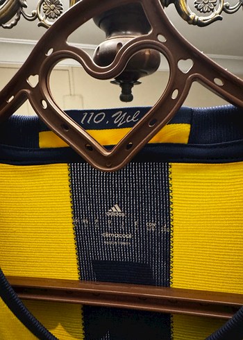 Fenerbahçe 2016-2017 110. Yıl Çubuklu Forması - Görsel 6