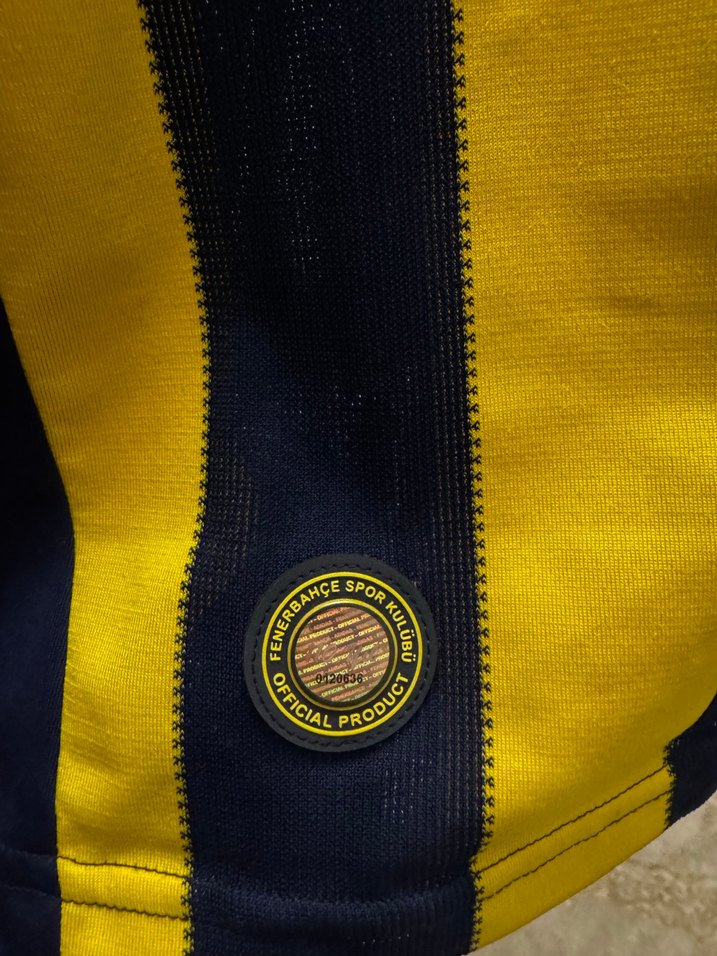 Fenerbahçe 2016-2017 110. Yıl Çubuklu Forması - Görsel 5