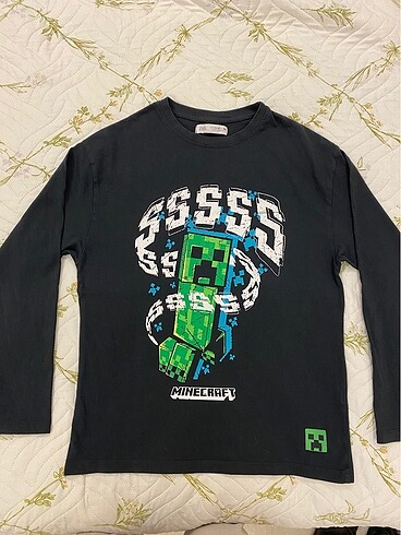 Zara minecraft
