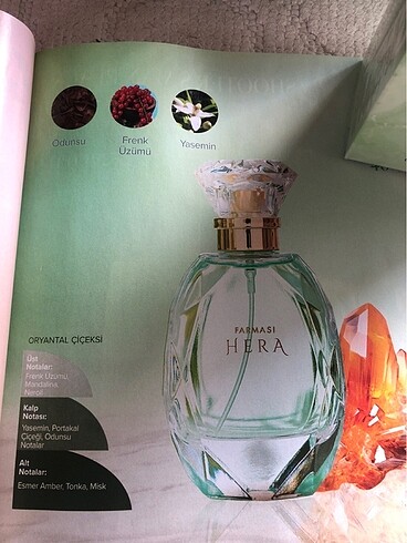 Bayan parfüm - Görsel 4