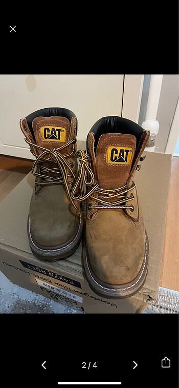 Cat bot