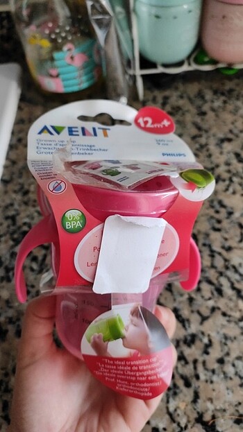 Philips awent suluk