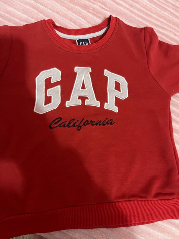 Kırmızı GAP Erkek Sweatshirt - Görsel 2