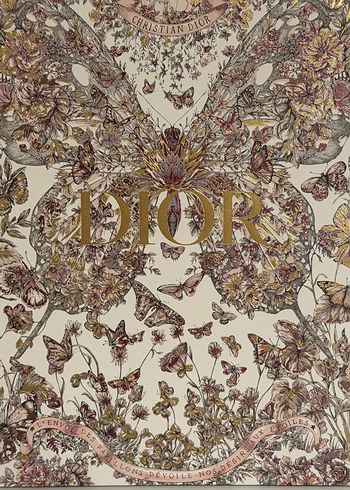 Dior Kelebek Tasarımlı parlak görünümlü poşet - Görsel 4