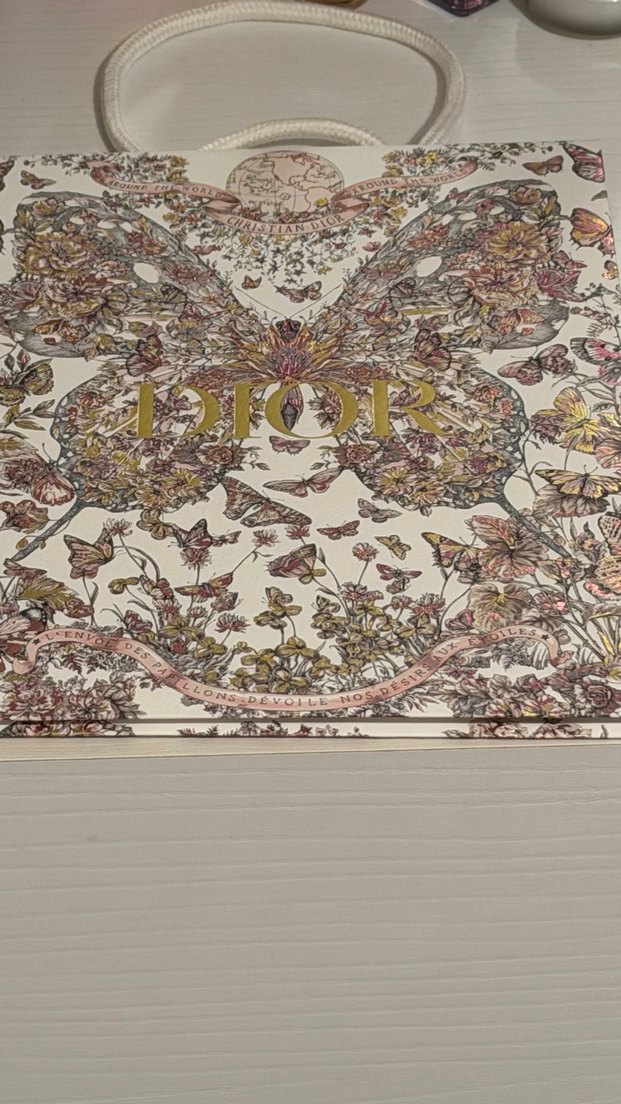 Dior Kelebek Tasarımlı parlak görünümlü poşet - Görsel 5