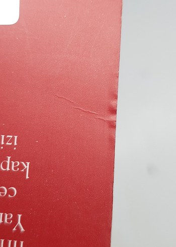 Beden Renk Cehennem Alevi - Dean Koontz | İNKILAP KİTABEVİ