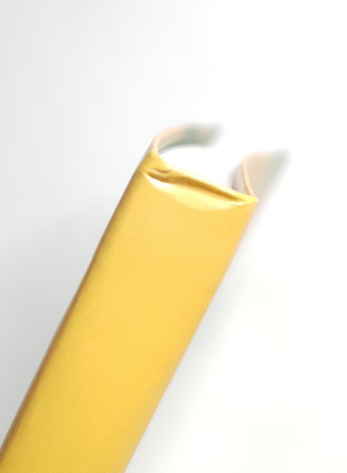 Mavisel Yener ile Şiir Atölyesi - Mavisel Yener | TUDEM YAYINEVİ - Görsel 5