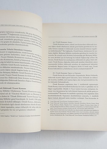 İNTERNET VE HUKUK l  İSTANBUL BİLGİ ÜNİVERSİTESİ YAYINLARI - Görsel 11