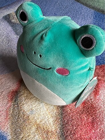 Beden Squishmallow kurbağa 20cm
