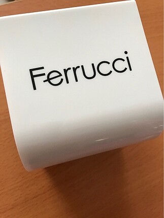 Ferrucci Saattt