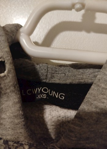 Gri Erkek Çocuk Kapüşonlu Sweatshirt - Görsel 3