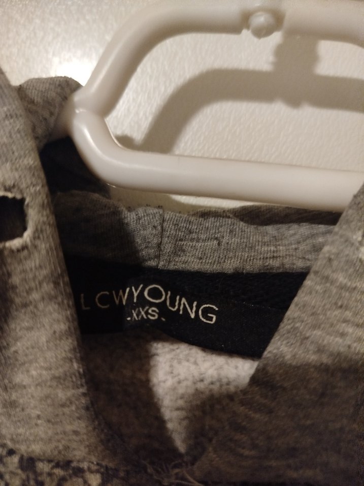 Gri Erkek Çocuk Kapüşonlu Sweatshirt - Görsel 3