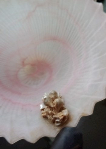 Pembe Çağdaş Dekoratif Tabak ve Vazolar - Görsel 4