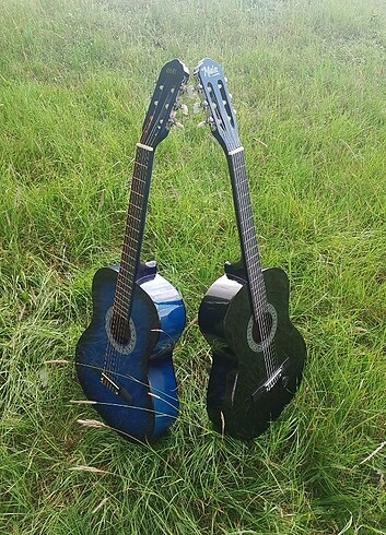 Gitar 