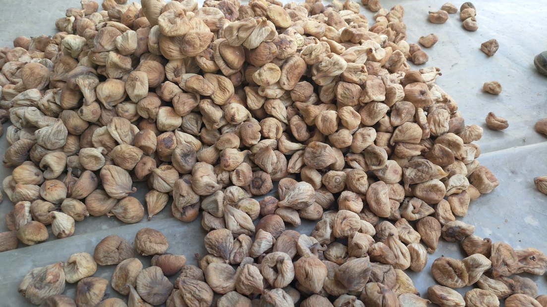 Organik kurutulmuş dağ  İnciri - Görsel 2