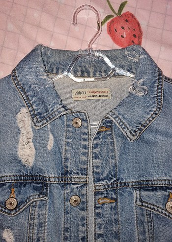 Dilvin Düğmeli Kadın Denim Ceket - Görsel 3