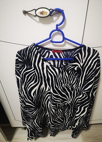 Diğer Zebra kazak
