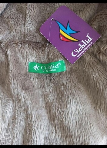 Cichlid kız bebek kaban - Görsel 4