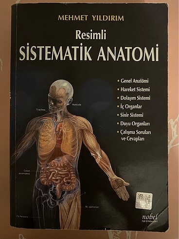 Sistematik anatomi