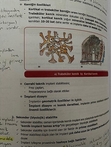  Beden Dusdata cerrahi