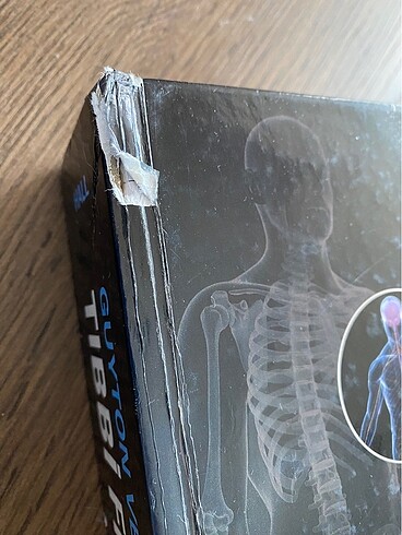 Guyton Tıbbi Fizyoloji - Görsel 3