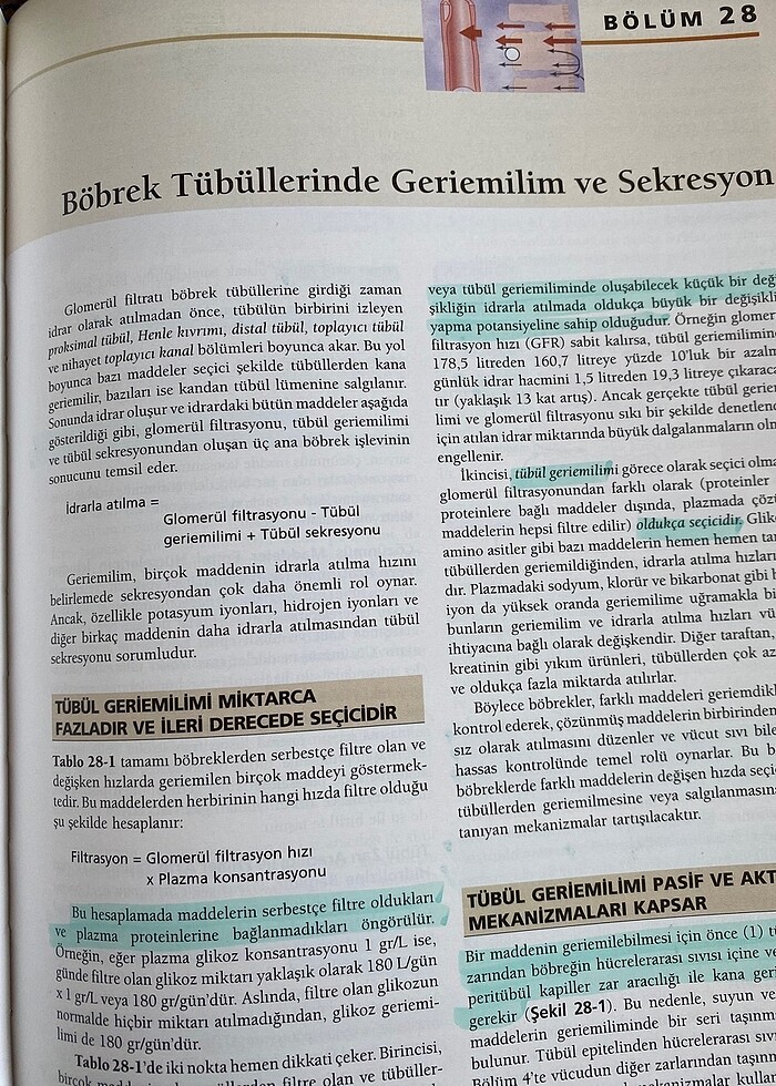 Guyton Tıbbi Fizyoloji - Görsel 4