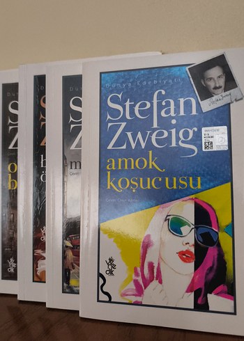  Stefan Zweig serisi