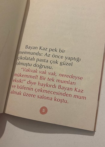 Beden Renk Bayan Kaz ve Çikolatalı Pasta - Lucia Salemi