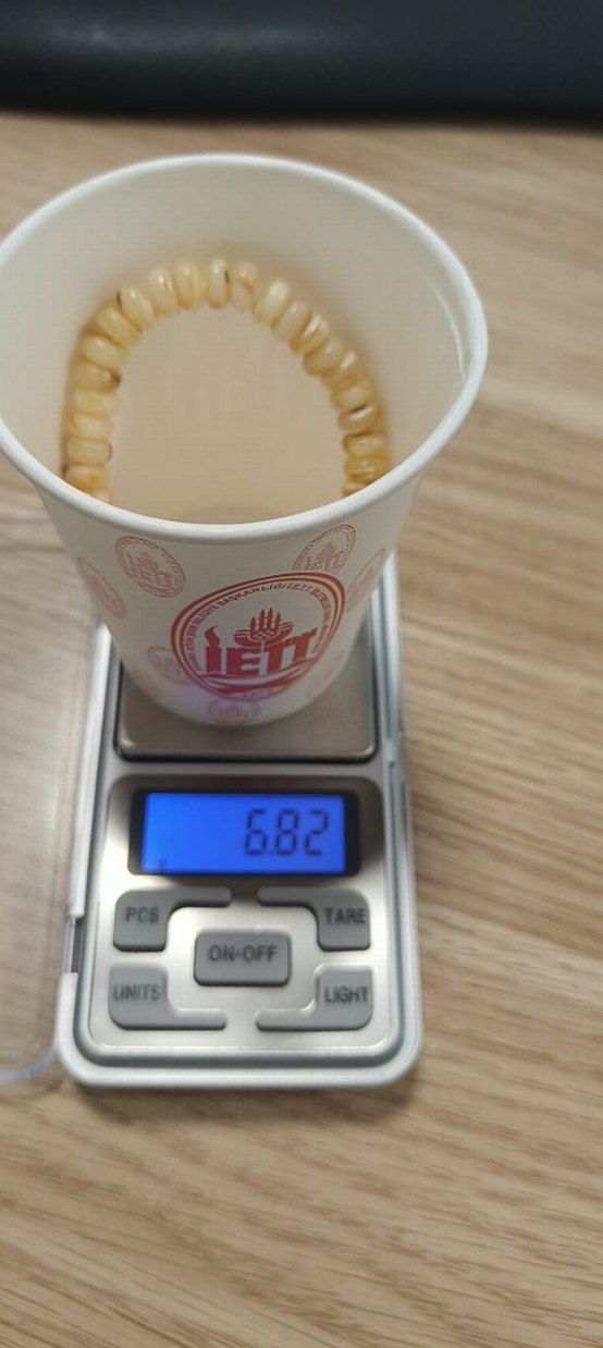 Kaya Damla Kehribar Bileklik - Görsel 2